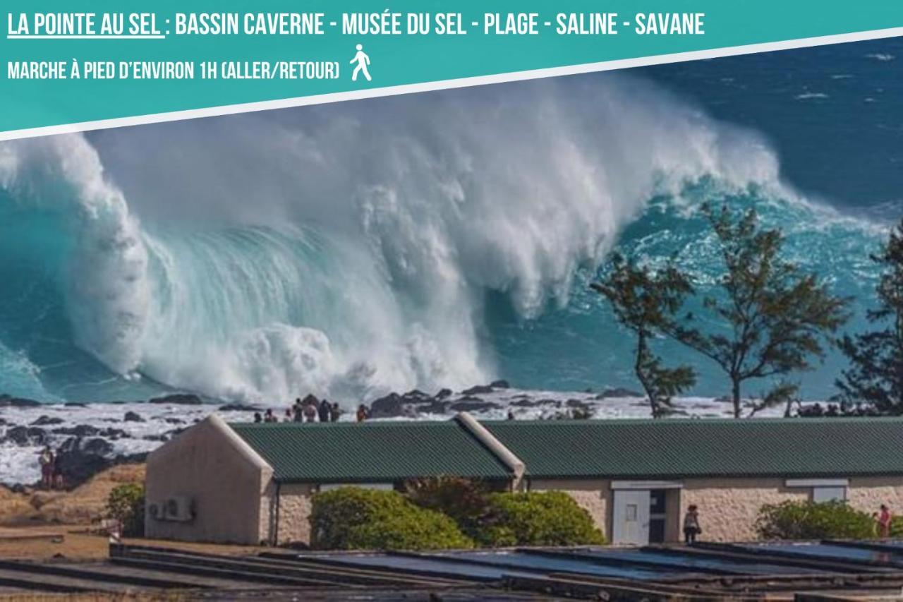 Ti Case Fleurie * Piscine * Jardin Tropical سان لوي المظهر الخارجي الصورة